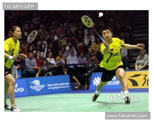 深度分析深圳羽毛球队区域防守战术的优势与应用技巧